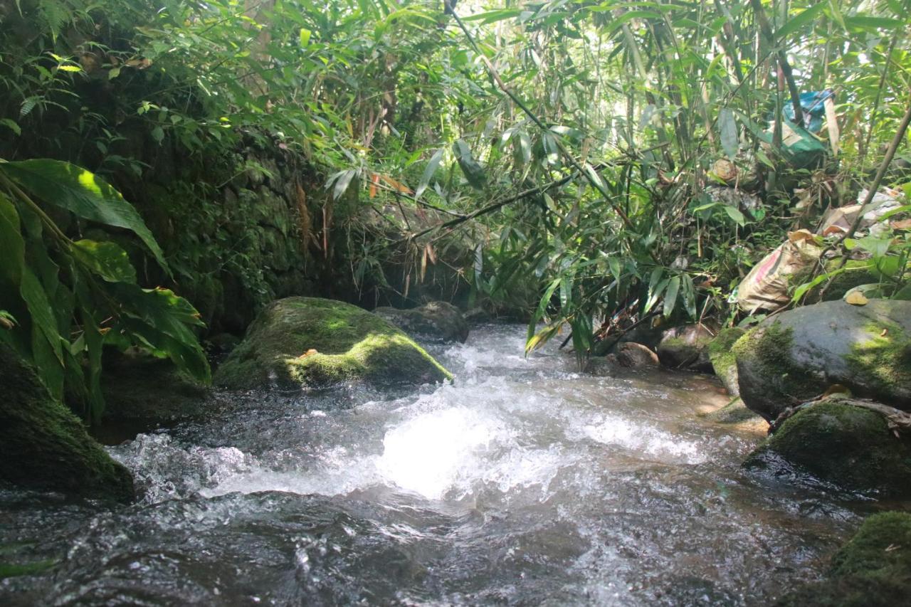 Nature Routes Cottage Munnar Ngoại thất bức ảnh