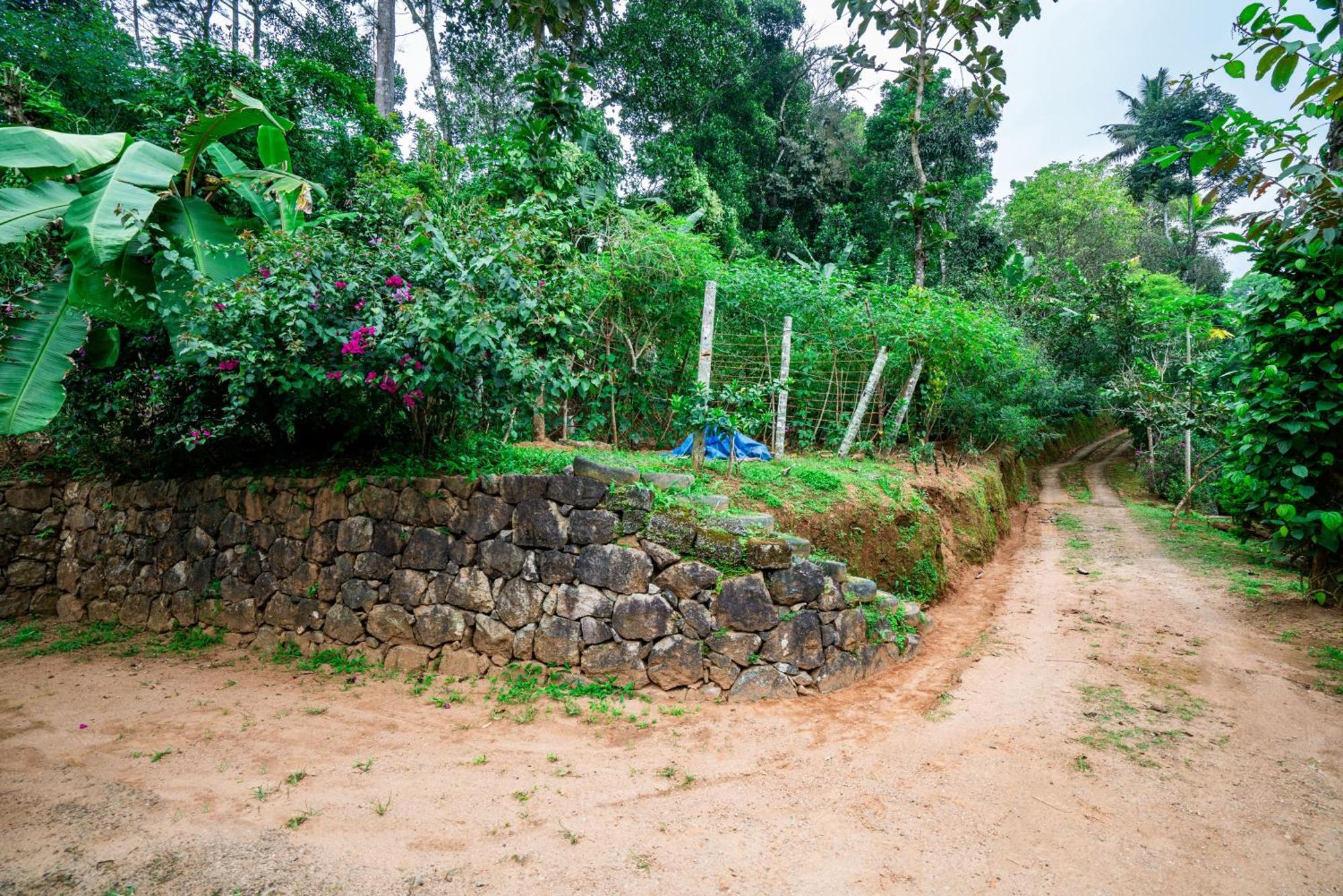 Nature Routes Cottage Munnar Ngoại thất bức ảnh