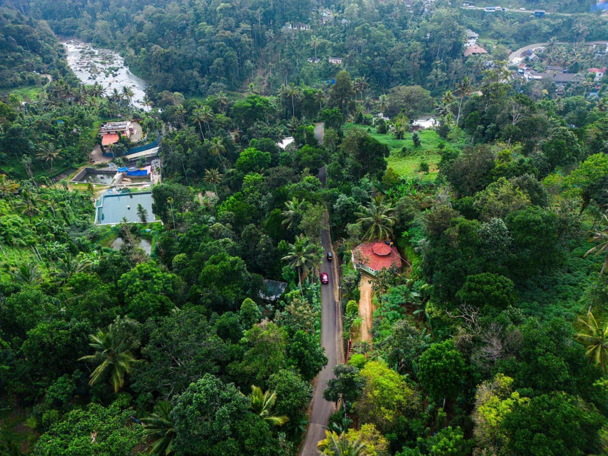 Nature Routes Cottage Munnar Ngoại thất bức ảnh