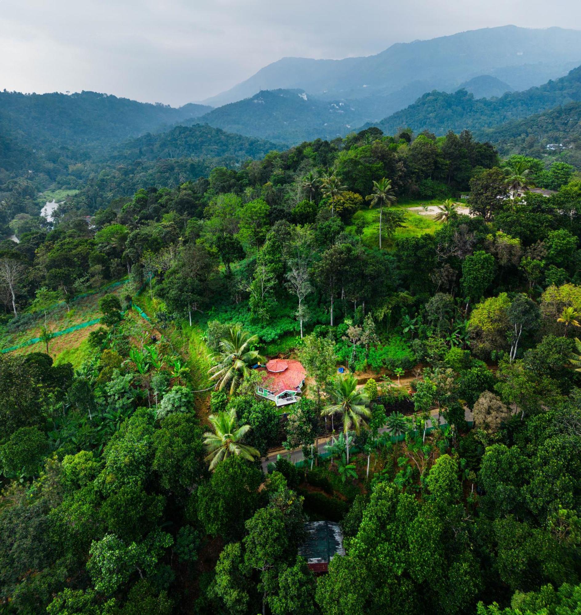 Nature Routes Cottage Munnar Ngoại thất bức ảnh